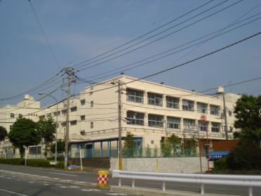 横浜市立都岡小学校：590m