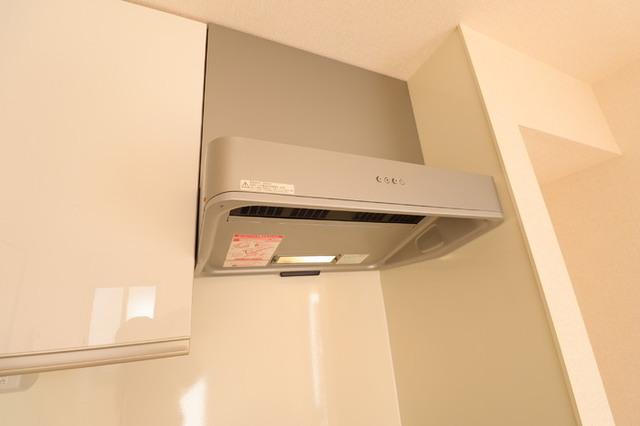 メイプル鷺沼（203） 部屋画像