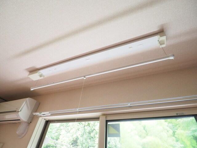 Tortuga　C（301） 部屋画像