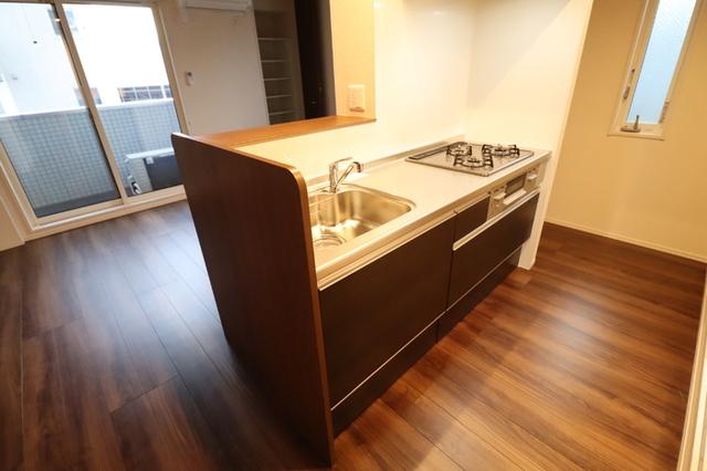 メゾンヴィクトワール梶ヶ谷（307） 部屋画像