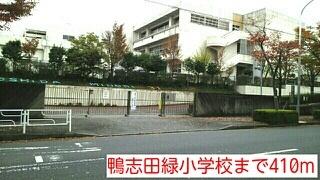 鴨志田緑小学校：410m