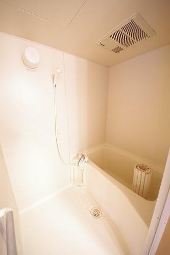 プラムハイツ（310） 部屋画像