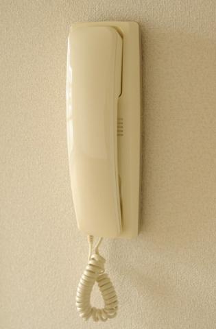 ダンデライオン（205） 部屋画像