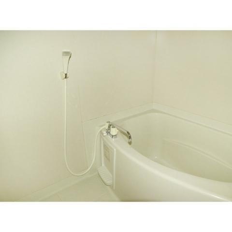 ダンデライオン（205） 部屋画像