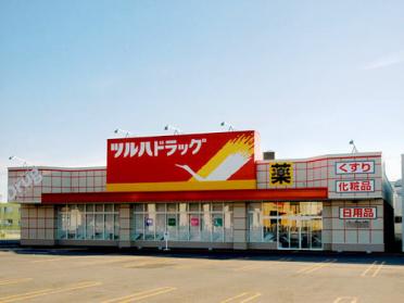 ﾂﾙﾊﾄﾞﾗｯｸﾞ 宇都宮東峰町店：603m