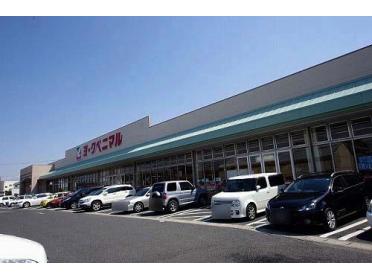 ｻﾝﾄﾞﾗｯｸﾞ 宇都宮石井店：225m