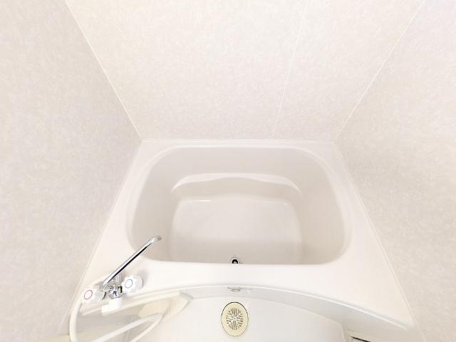 トリニティ A（101） 部屋画像