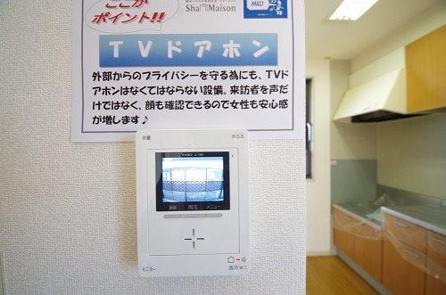 パレスSS Ⅱ（102） 部屋画像