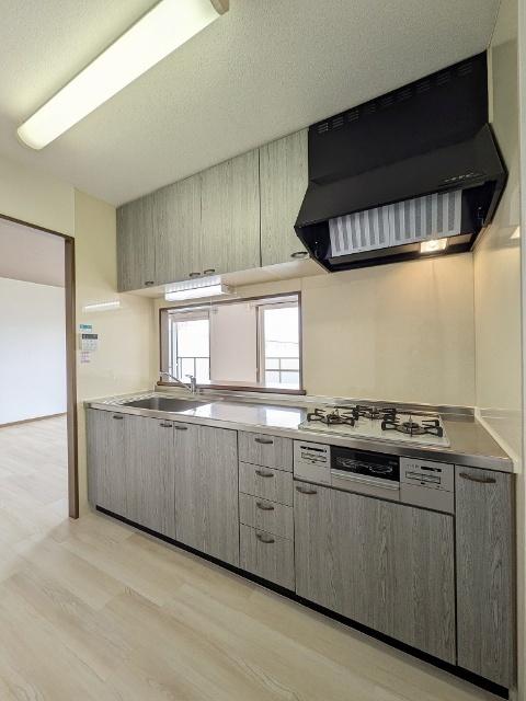 ハイツマロニエ今泉（302） 部屋画像