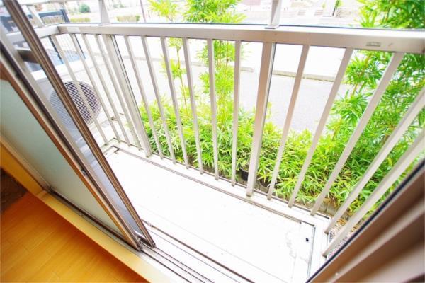 グランディパレス D（102） 部屋画像
