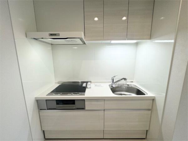 D-CACTUS（203） 部屋画像
