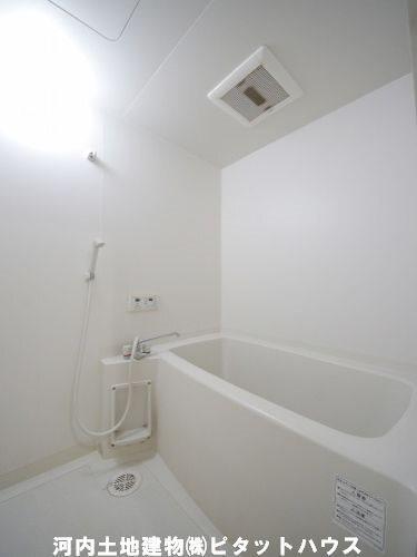アルトカッシーナ（803） 部屋画像