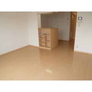 レジェンド ワコー B（208） リビング