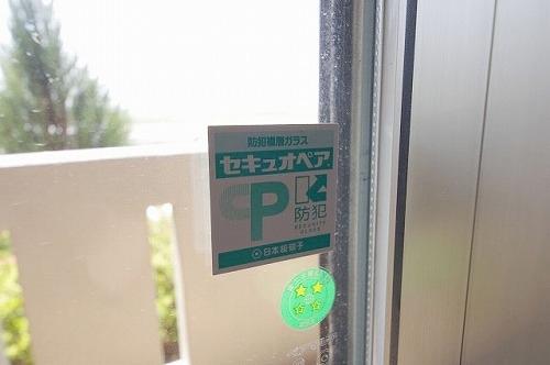 ライラックⅡ（205） 部屋画像