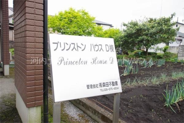 プリンストンハウス D（203） その他