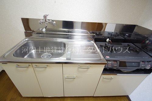 オールドゥパレ（308） キッチン