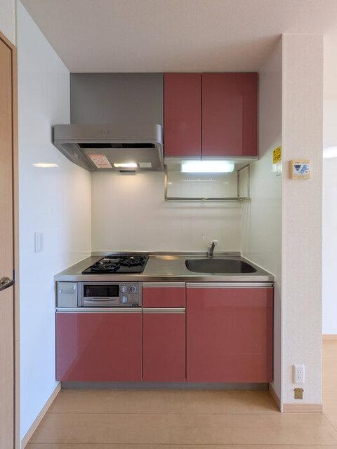 セジュールグリーン雅（105） 部屋画像
