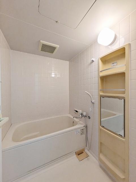 ハイツマロニエ今泉（108） 部屋画像