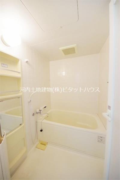 ハイツマロニエ今泉（105） 部屋画像