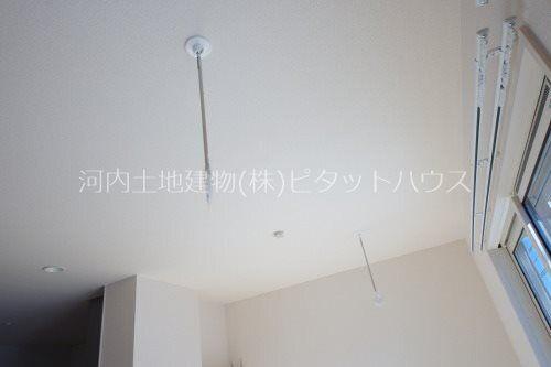 コリーヌ C（201） その他