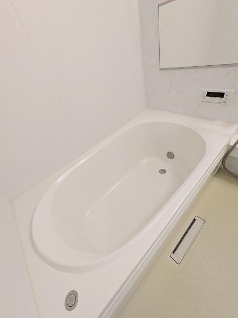 ZENITH 宇都宮（301） 部屋画像