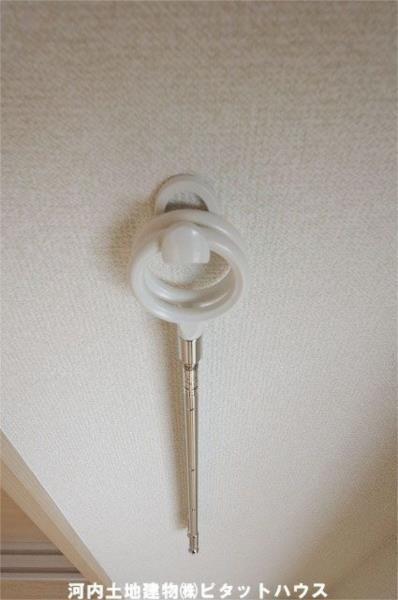 アマルフィーノ（101） その他