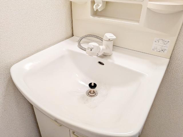 トリニティ A（102） 部屋画像