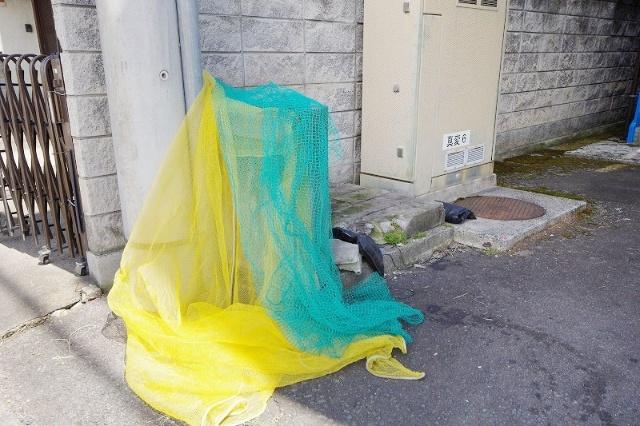 メゾン・ド・カネス（313） 部屋画像