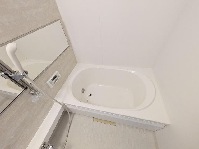 ヴィアソーレ B（202） 部屋画像