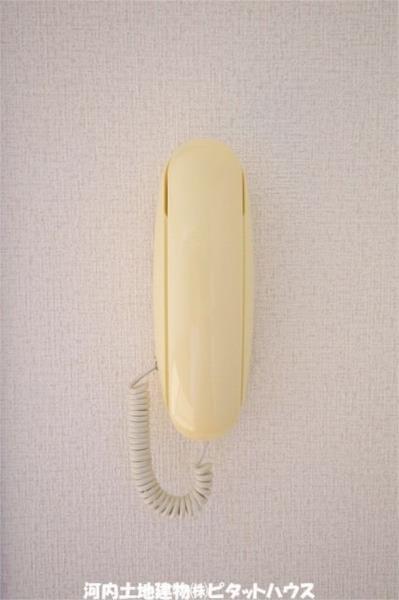 メゾンサンフラワー C（101） 部屋画像