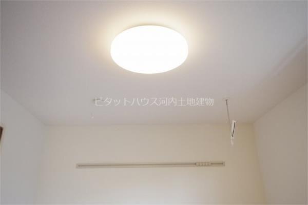 ヴァイア B（205） その他