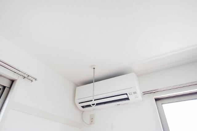 ウェルシー 1（101） 部屋画像