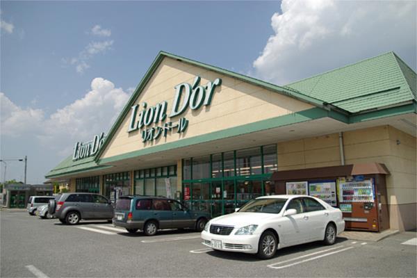 ﾘｵﾝ･ﾄﾞｰﾙ 高根沢店：1379m