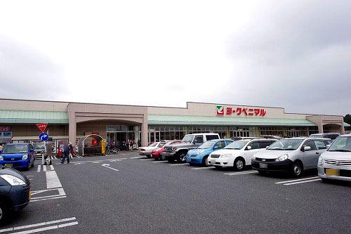 ﾖｰｸﾍﾞﾆﾏﾙ細谷店：923m