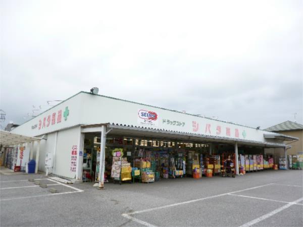 ｼﾊﾞﾀ薬品西川田店：1367m