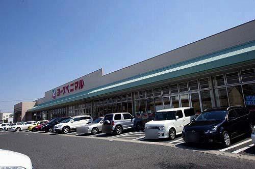ｻﾝﾄﾞﾗｯｸﾞ 宇都宮石井店：377m