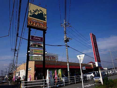 ﾌｰﾄﾞｵｱｼｽOTANI（ｵｰﾀﾆ） 戸祭店：93m
