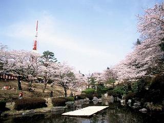 八幡山公園：489m