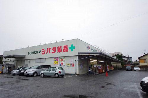 ｼﾊﾞﾀ薬品住吉店：752m