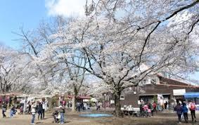 かしの森公園：1994m