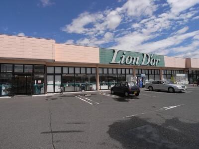リオン・ドール高根沢店：774m