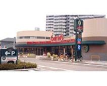 かましんカルナ駒生店：535m