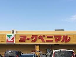 ヨークベニマル針ヶ谷店：482m