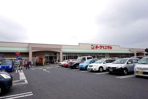 とりせん細谷店：824m