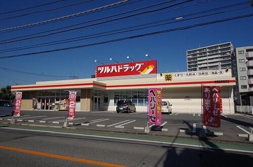 ツルハドラッグ宇都宮東宿郷店：655m