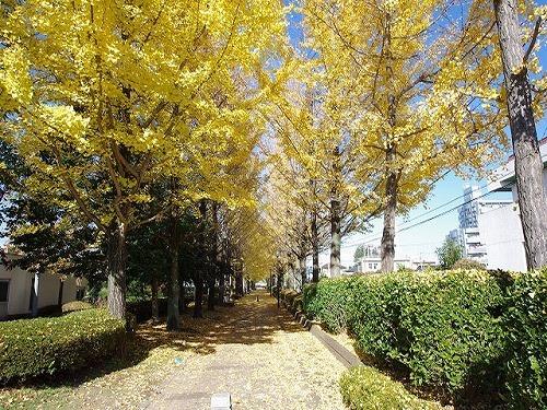 駅東2号緑地：260m
