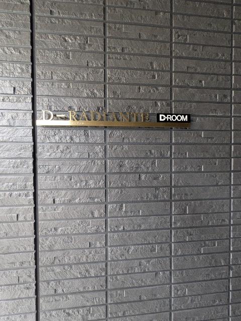 D-Radiante（305） その他