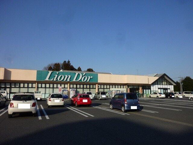 リオン・ドール高根沢店：1200m