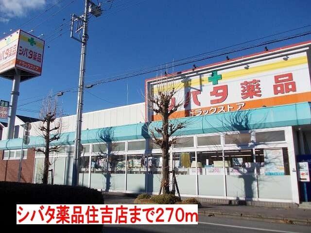 シバタ薬品住吉店：250m