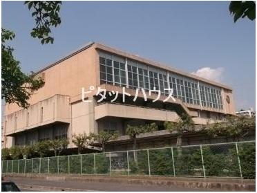 愛知県立岡崎西高等学校：305m